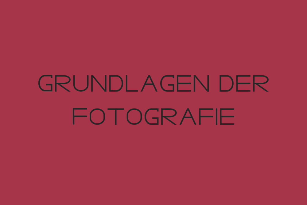 Workshop: Grundlagen der Fotografie mit Elisabeth Fotografie